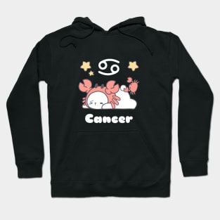 Cancer Loppi Tokki Bunny Zodiac Series Hoodie